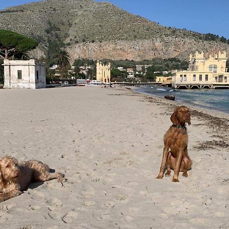 Due Cani Apartment Palermo Dış mekan fotoğraf